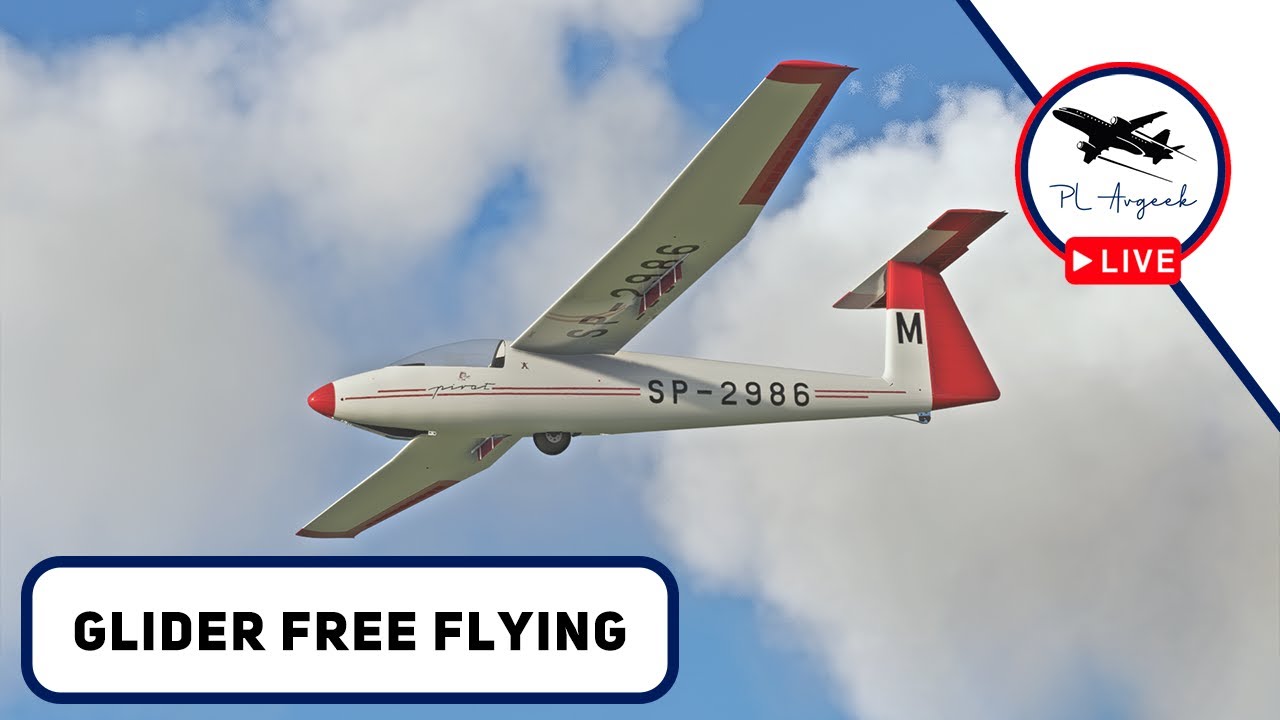 🔴MSFS2020: Flying SZD30 until I hit the ground