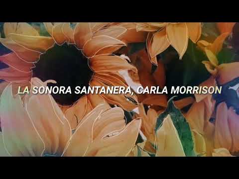 Carla Morrison - Que bello