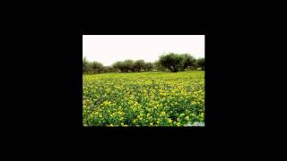 سورة طه كاملة   الشيخ إبراهيم العسيري   1435هـ