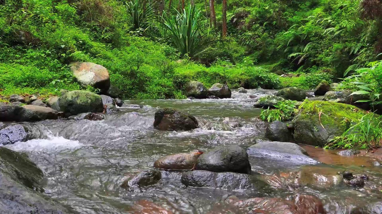 Deep Calm River – 10 Hours of ASMR for Focus, Anxiety & Stress Recovery