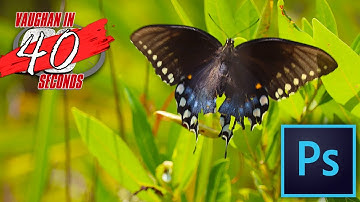 Photoshop | Overscroll