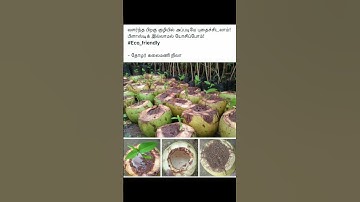 #reduce #reuse #recycle #eco #friendly #ecofriendly #shorts #trending #short