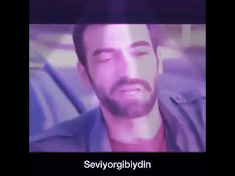 Seviyorgibiydin