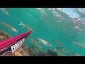 Alternative Cyprus Spearfishing #1 |Seals-stingray-turtle|Killing Shots up to 4m-GoPro|Pescasub