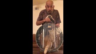 Tomahawk Humane Roundhouse Trap Review: How to Catch a Trap