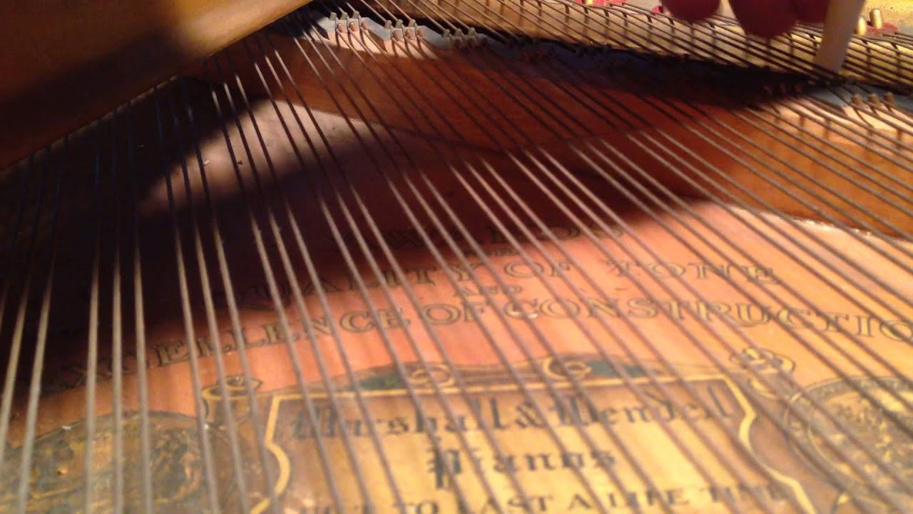 Clean a grand piano soundboard with Jack In The Box' help YouTube