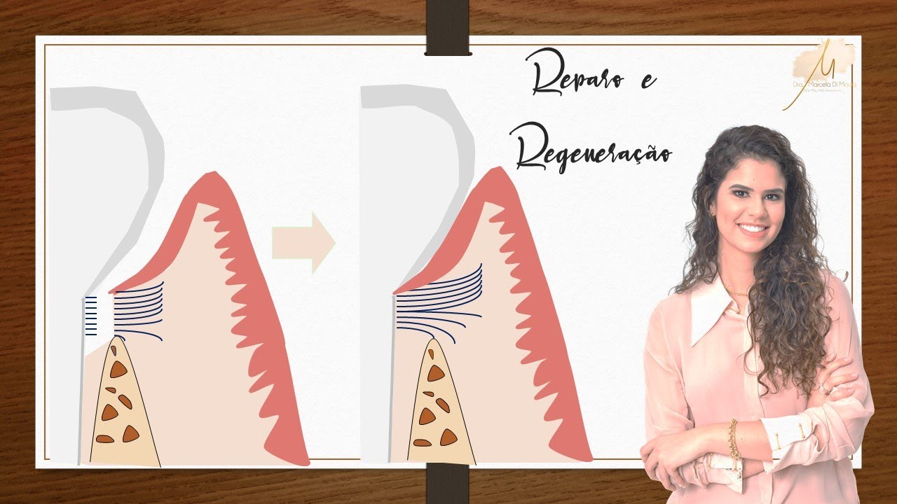 Regeneração e Reparo em Periodontia