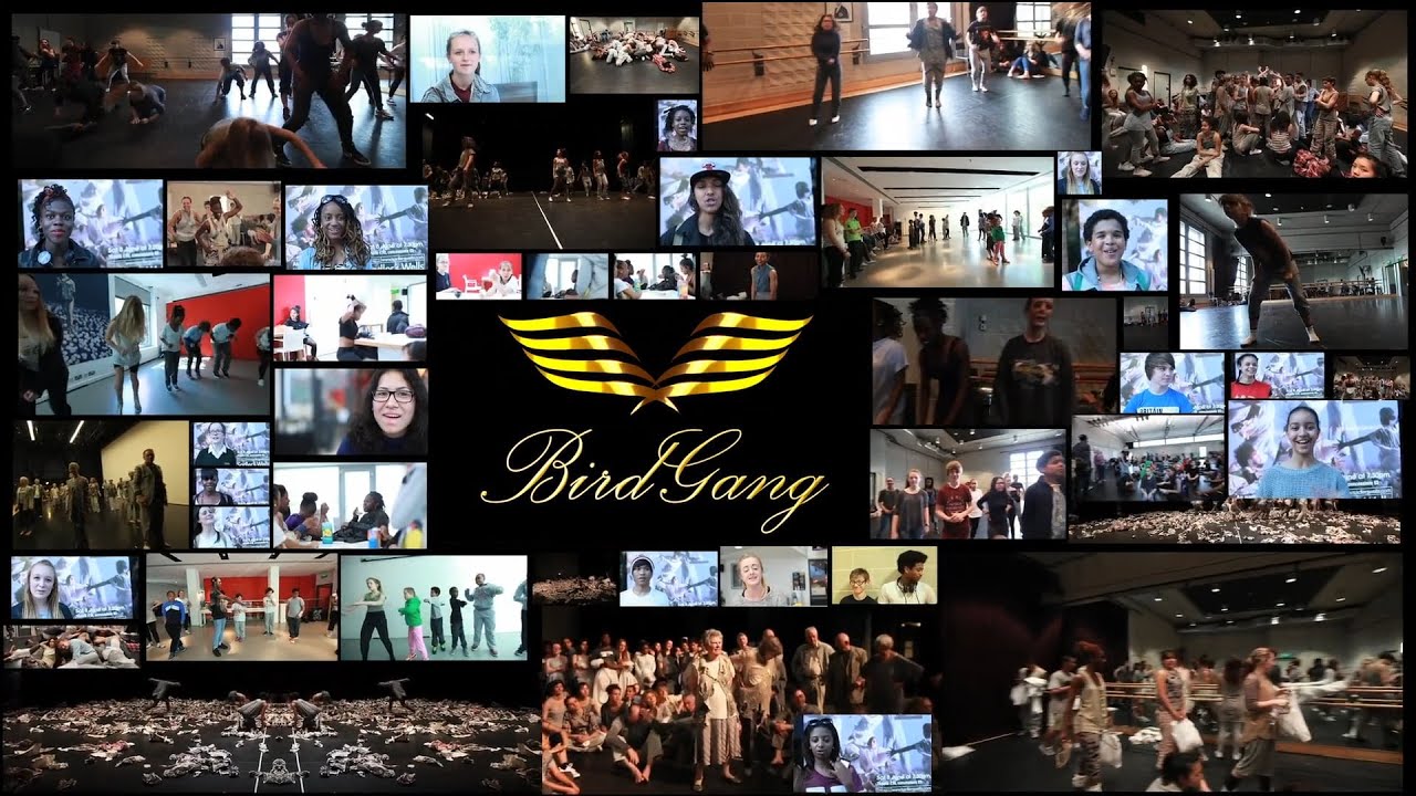 Education Showreel | BirdGang Ltd