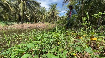 CÂU CÁ LÓC GẶP SỰ CỐ KHI GẶP HÀNG KHỦNG|| NDK Vlogs