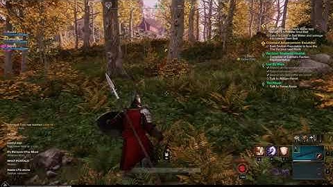 New World Over Encumbered Bug