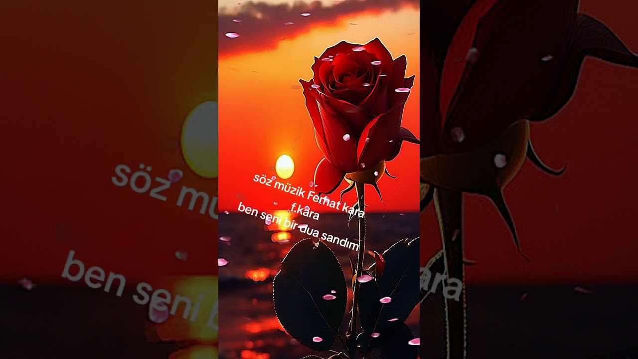 F.kara ben seni bir dua sandım 