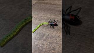 Lunkerhunt Spider vs Zoom Centipede #sports