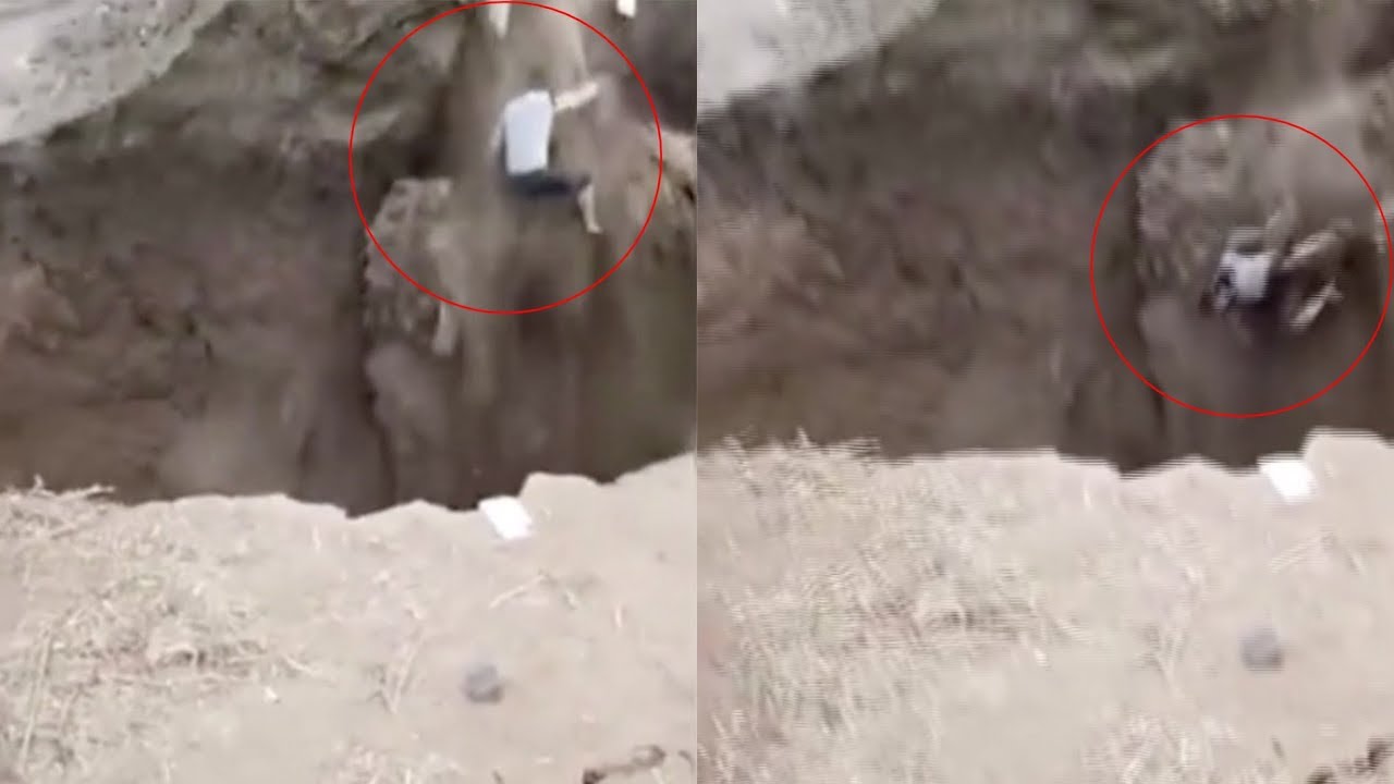 Man luckily survives fall into river after ground collapses under him