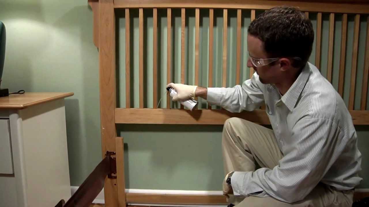 Bed Bug Management for Professionals