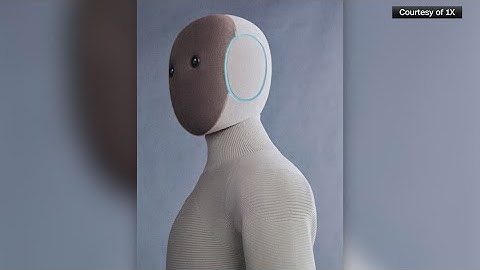 Company releases new robot that can help with laundry, cleaning