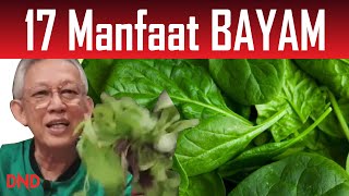 17 MANFAAT BAYAM