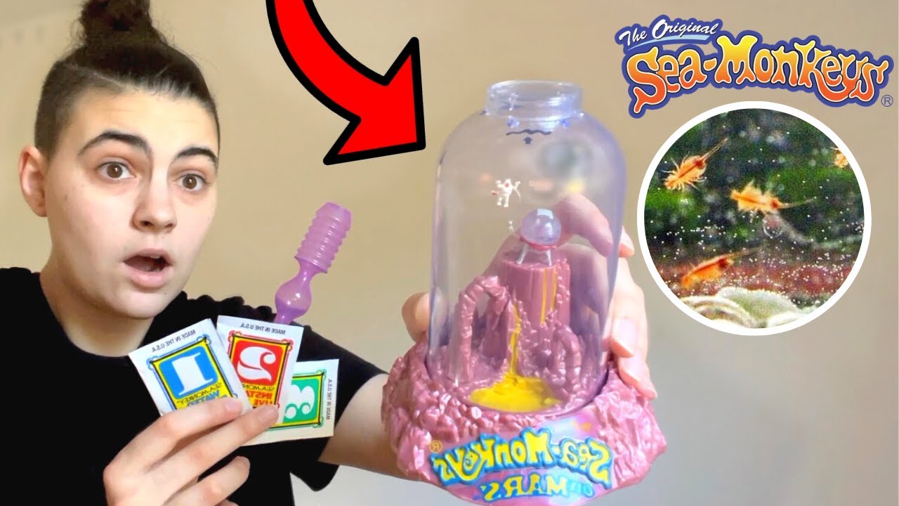 Sea-Monkey Mystery Eggs Instant Pet Set