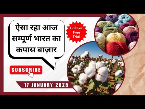 आज का भारतीय रुई बाज़ार || All India Cotton Market Update Today #cotton #kapas #smartinfo