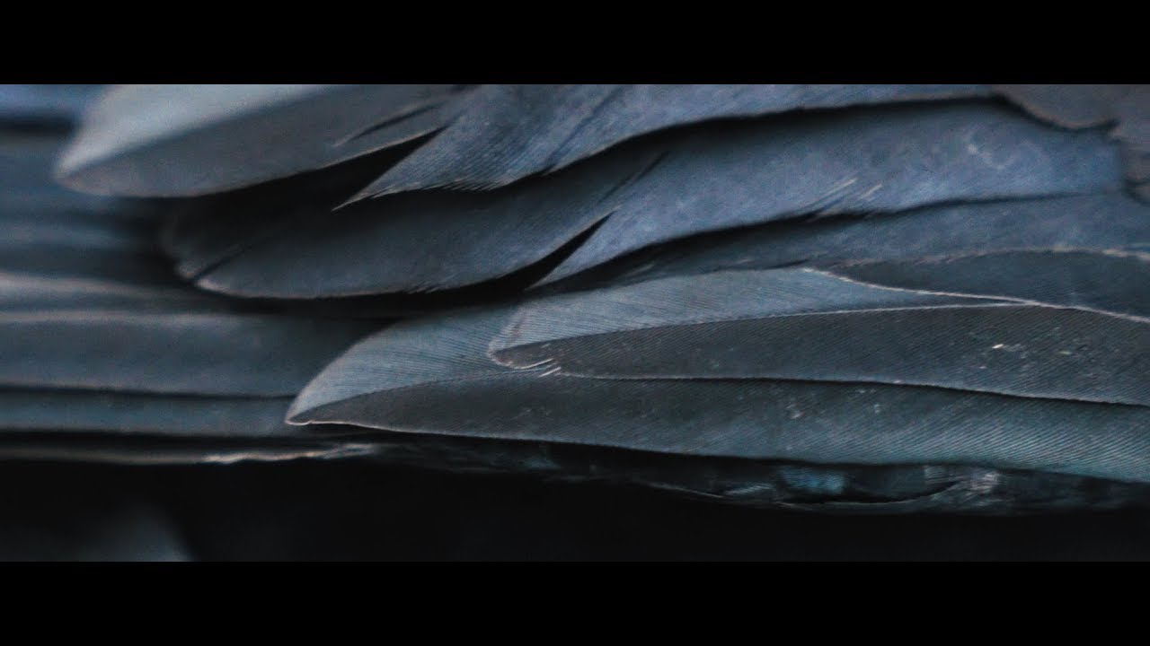 JABAR - Inertia (Official Music Video)