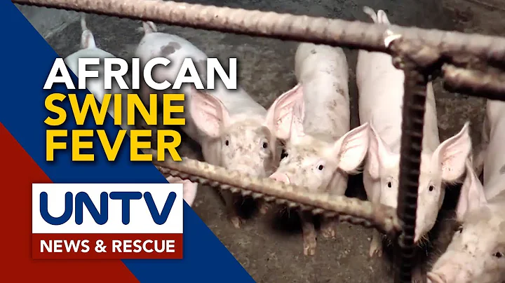 Chinese scientists make breakthrough in cure for African Swine Fever
