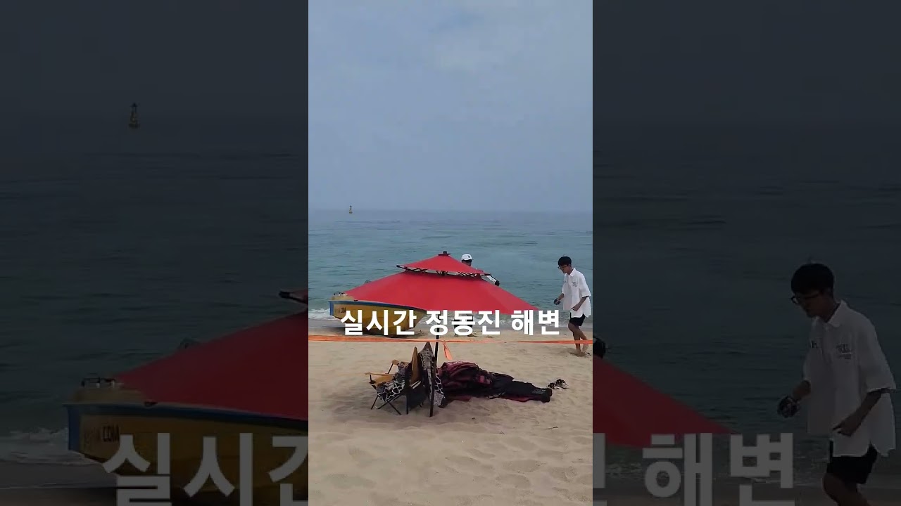 정동진 해변 #정동진 #강원도해변 @tvjyb #강릉여행 #강릉바다 #koreabeach