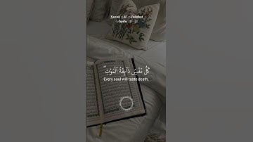 القارئ: عبدالرحمن مسعد قرآن كريم تلاوات قرانيه خاشعة #اكسبلور #لايك #تيك_توك #القران
