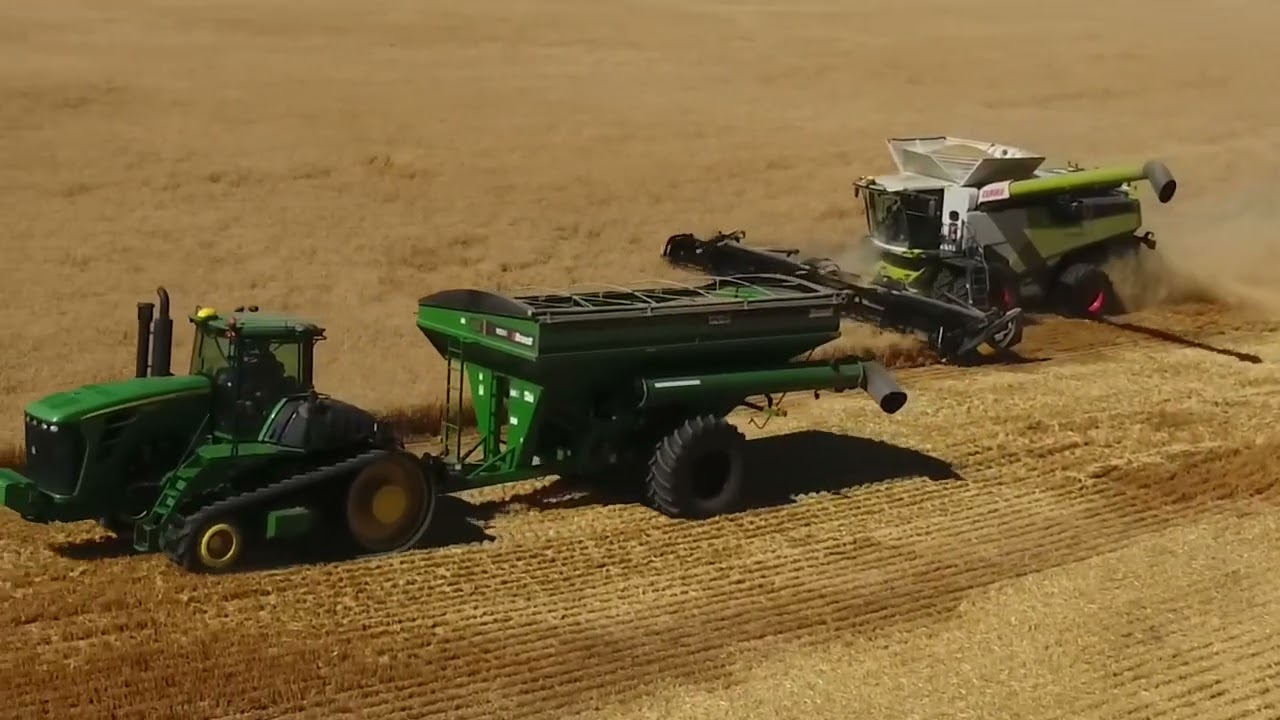 Wheat Harvest Alberta, Canada. Harvest 2022 YouTube