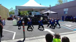 Demo at the 2017 Boogie on the Bayou Festival, Campbell, Ca.