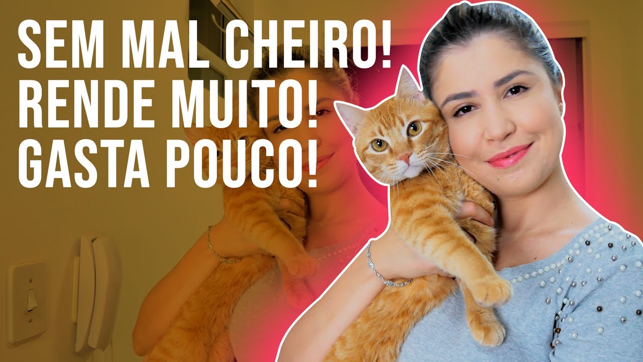 Como Fazer a Areia do Gato Render Mais