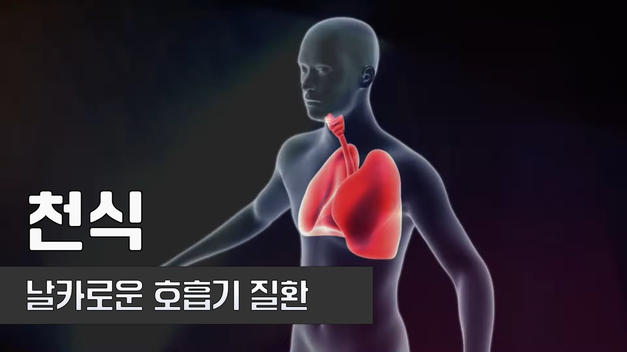 언제 발병할지 모르는 만성질환 천식 | 건양대학교병원 호흡기내과 정인범 교수 | 건강플러스