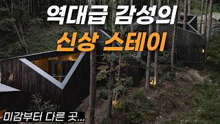 A Brand New Forest Camping & Stay in Korea screenshot 1