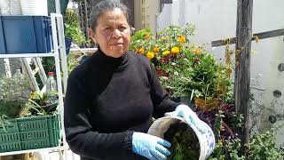 Cómo  hacer Compost Rico en nutrientes para tu huerta en casa