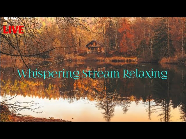Watch Whispering Stream Relaxing mind | Relaxing Sleep Music |Deep Sleeping & Study music, Stress Relief | on YouTube Watch Whispering Stream Relaxing mind | Relaxing Sleep Music |Deep Sleeping & Study music, Stress Relief | on YouTube