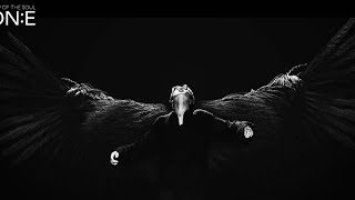 Part 3 - BTS - JIMIN - BLACK SWAN - AMAZING DANCE PERFORMANCE - MAP OF THE SOUL ONE
