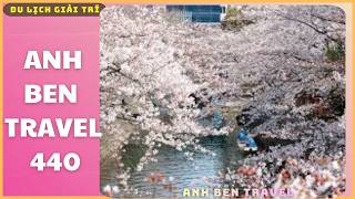 Anh Ben Travel Số 440 - Khách Du Lịch Khắp Nơi Đang Đổ Về NHững Con Đường Hoa Nhật Bản