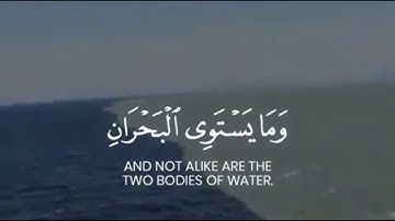 روووووووعة حالات واتس للشيخ محمود الشحات انور قارئ العالم الاول