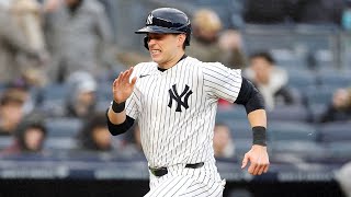 Ben Rice 2025 Highlights! (Spring Training)