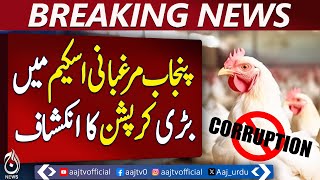 Major Corruption Exposed in Punjab Poultry Scheme - Pakistan News