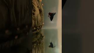Fishy #betta #fish #bettafish