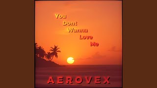 You Dont Wanna Love Me