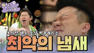 세계 최악의 냄새 [안녕하세요] | KBS 120514 방송