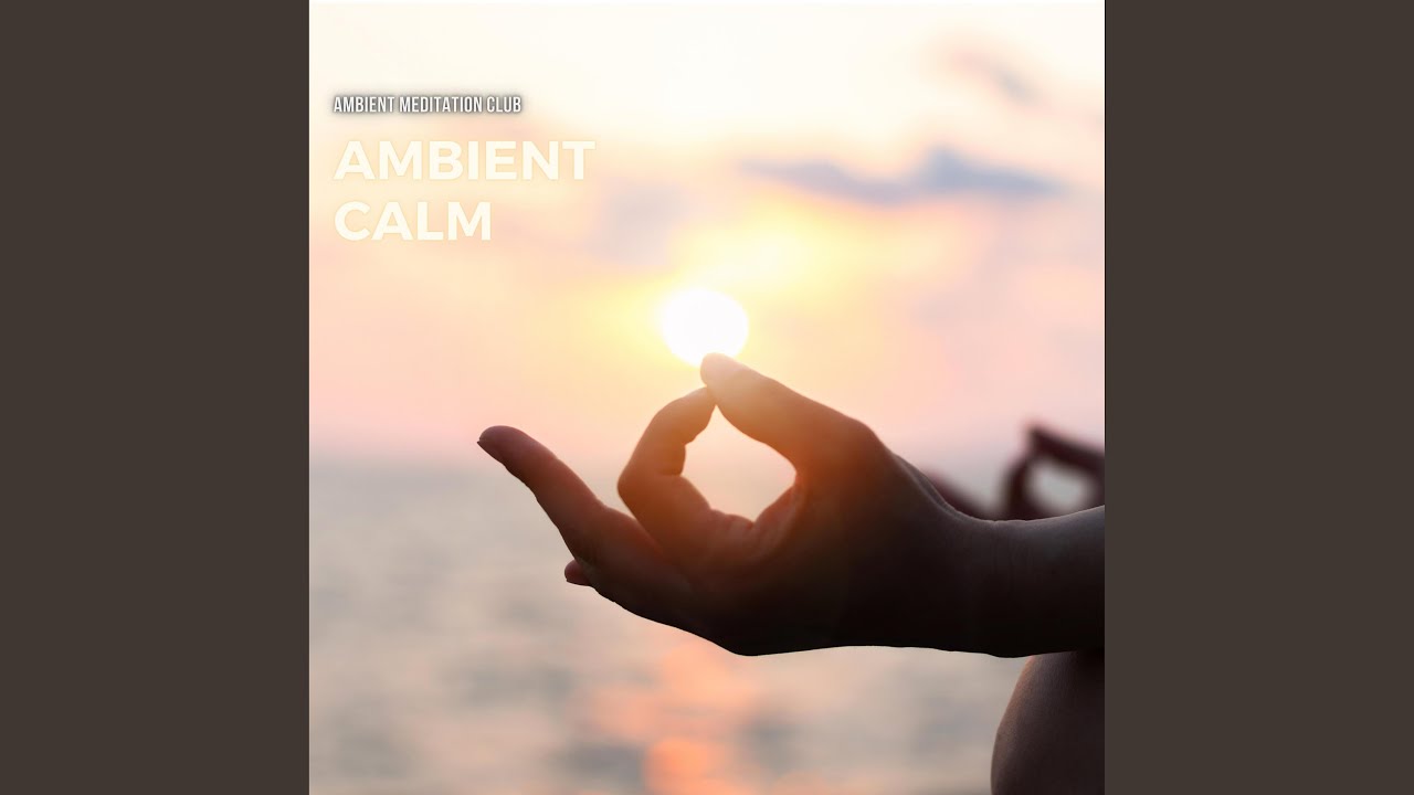 Mira Chakra Yoga en YouTube