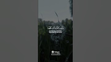🌤️ آية قصيرة من سورة فاطر | قرآن يريح القلب | طارق محمد