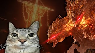The Elden Ring Nightreign Solo Experience