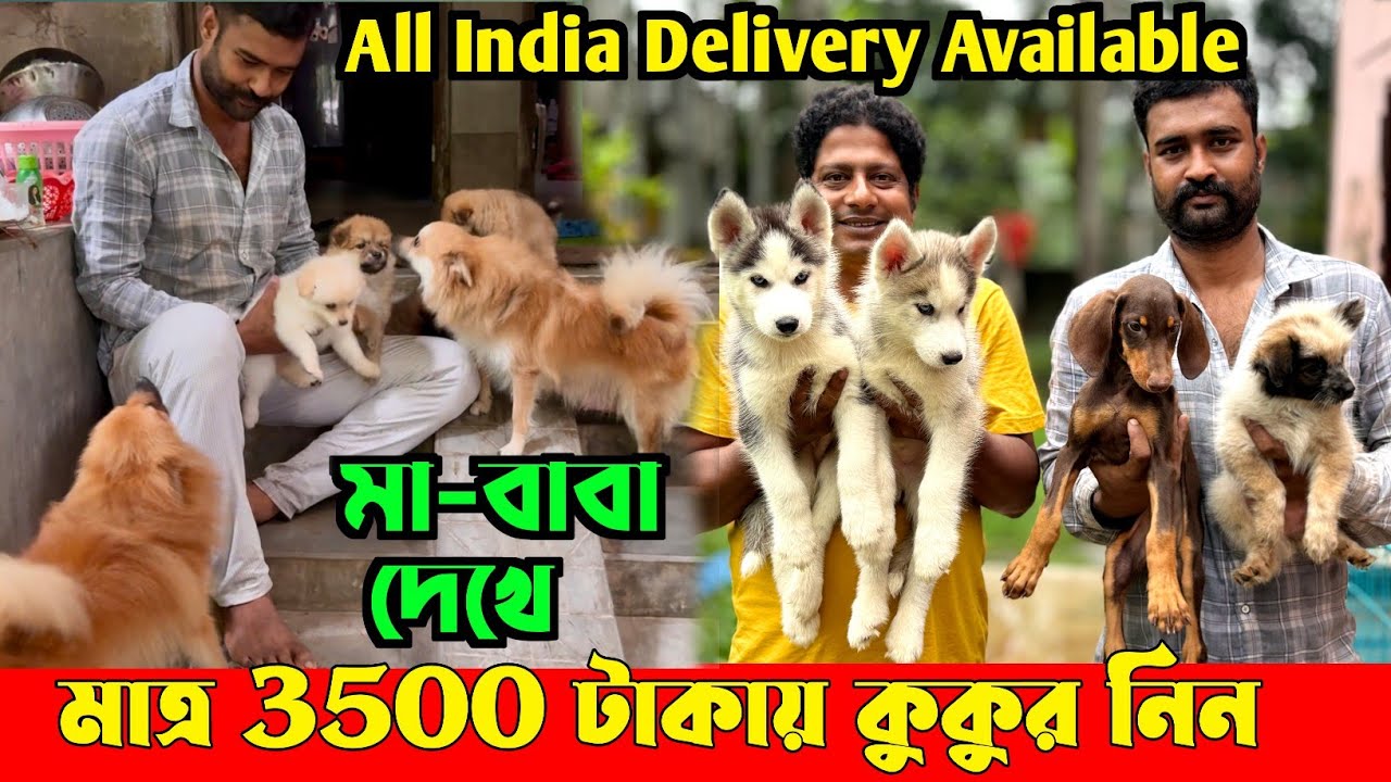 Dog Puppy Sell in Low Price. Best Dog Kennel in Kolkata . Dog Market in Kolkata Price.