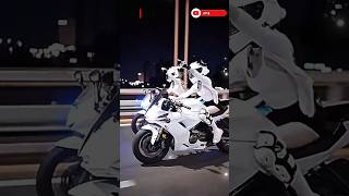 Bike lovers like this 🏍️ Let's race  🔥#race #ktmlover#dukelover#uk07rider#trending #viral#shorts#ktm