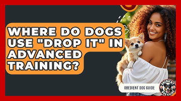 Where Do Dogs Use "Drop It" In Advanced Training? - Obedient Dog Guide
