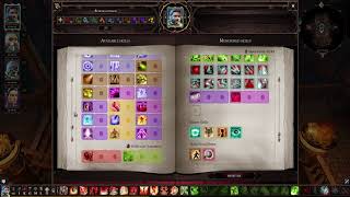 Divinity: Original Sin 2 - All Skills in game - All spells in game Geomancer Divinity Original Sin 2 Skill Showcase