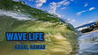 THIS Was My Favorite Part About Living In Kauai | Kauai, Hawaii | Randy Sage Films