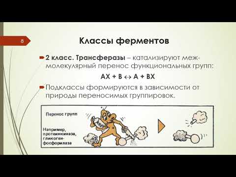 Лекция 2 ФЕРМЕНТЫ (Часть 1)